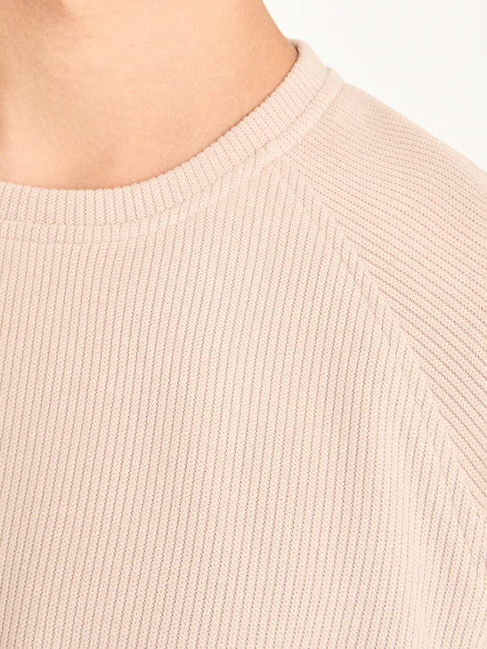 Self Stripe Knitwear / Beige