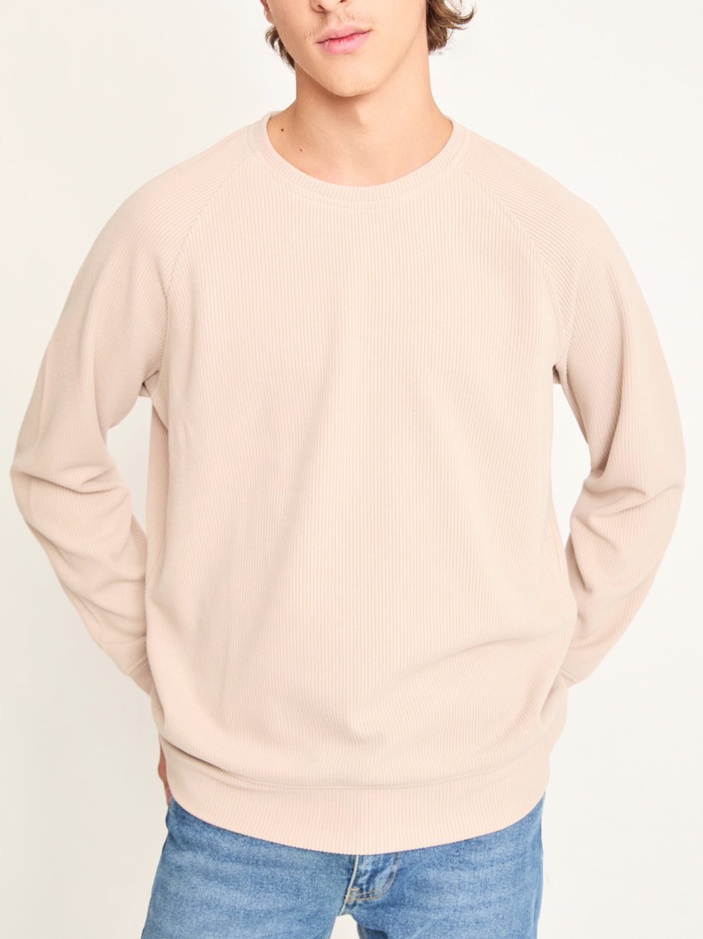 Self Stripe Knitwear / Beige