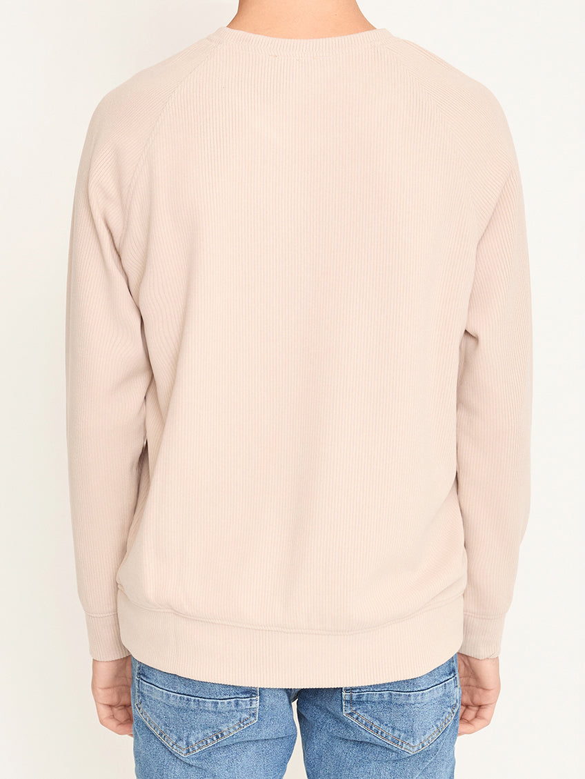 Self Stripe Knitwear / Beige