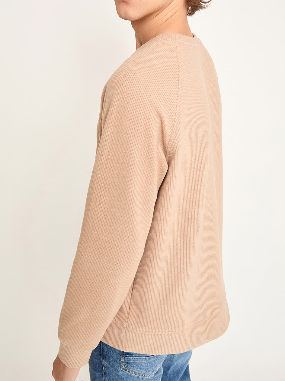 Self Stripe Knitwear / Camel