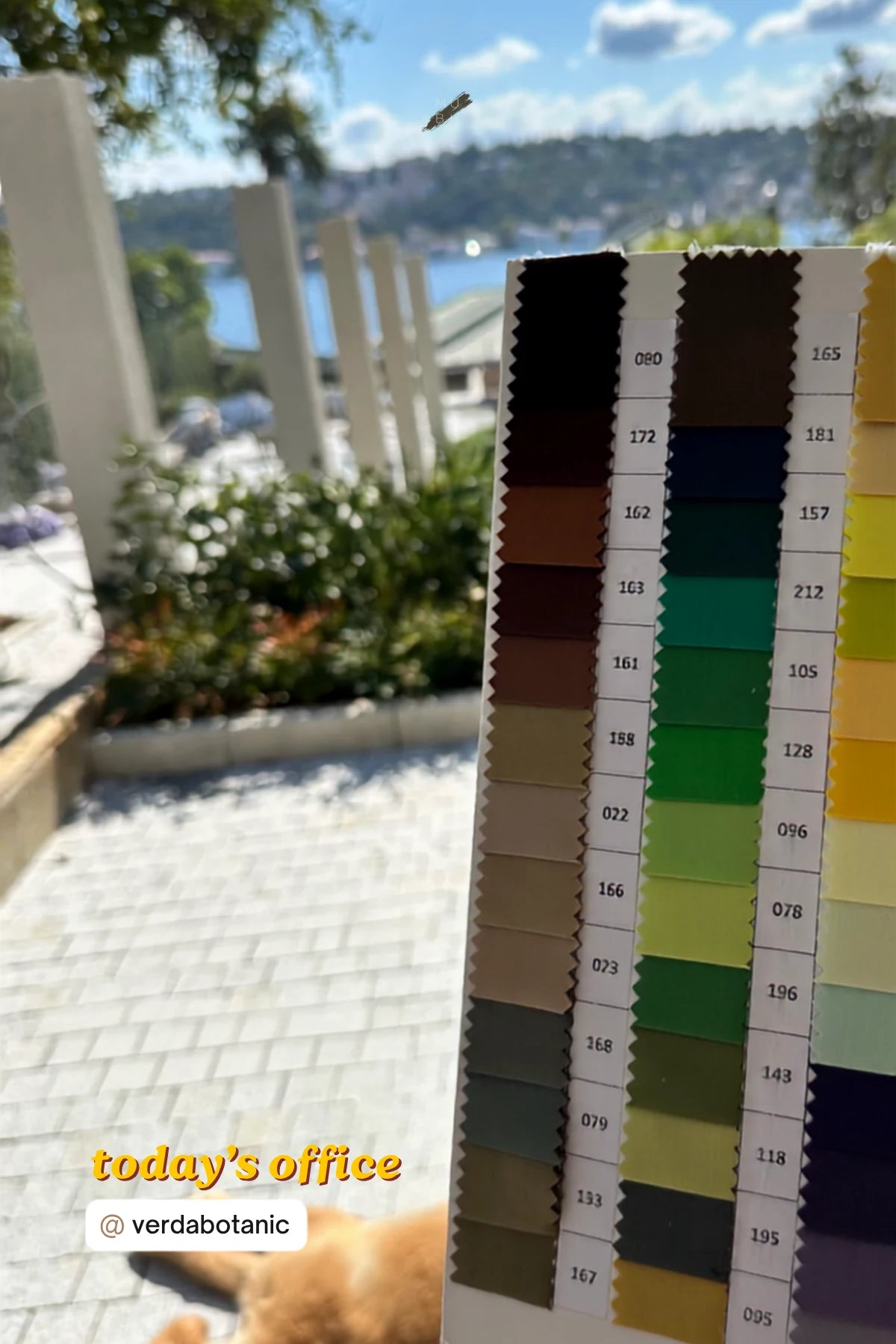 MUBU ekibinin Verda Botanic için kumaş kartelası ve saha çalışması